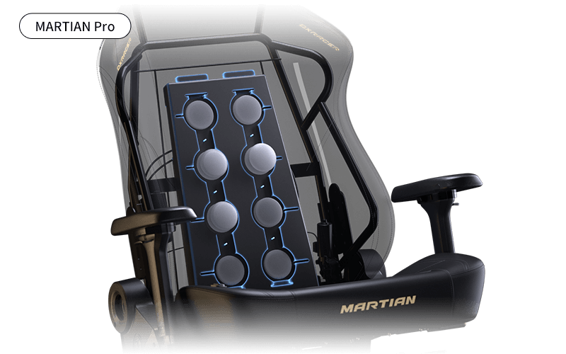 Multi-Functional Back Massage