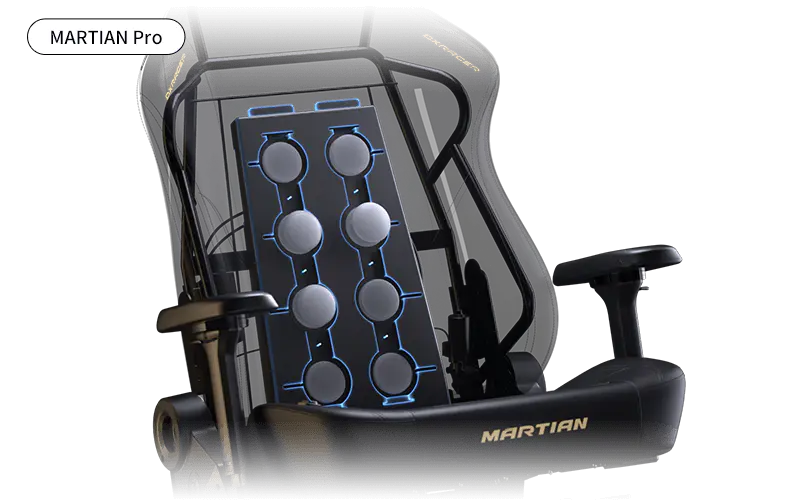 Multi-Functional Back Massage