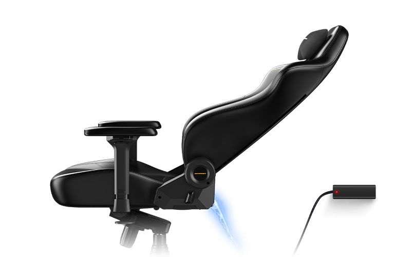 Electric Adjustable Backrest