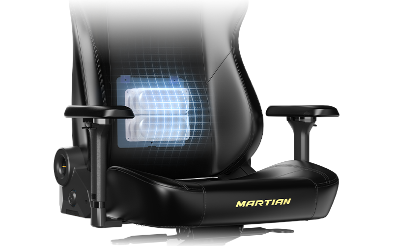 Smart Airbag Lumbar Support