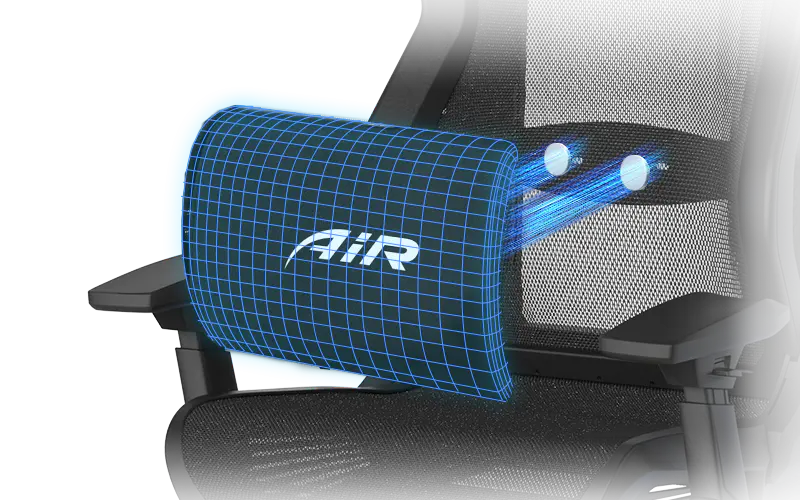 Adjustable Lumbar Support