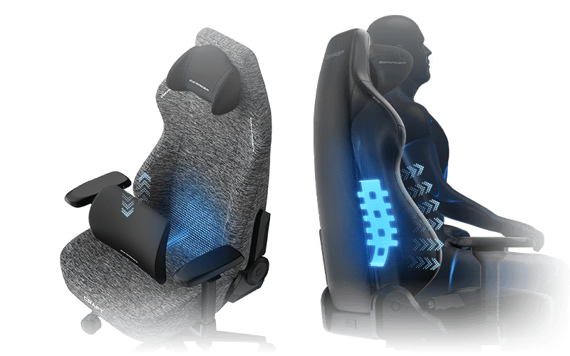 2D Integrated Lumbar Support