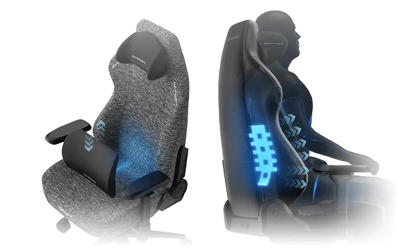 2D Integrated Lumbar Support